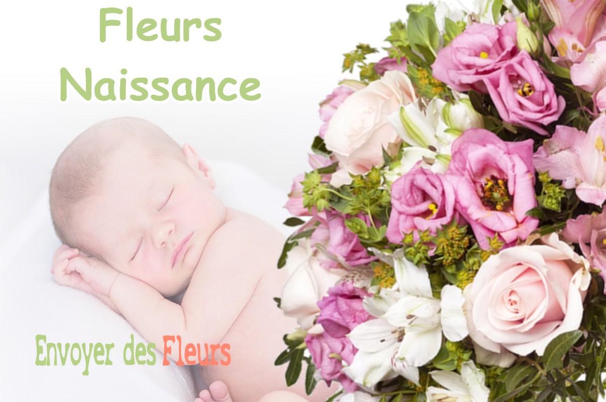 lIVRAISON FLEURS NAISSANCE à SONNAY